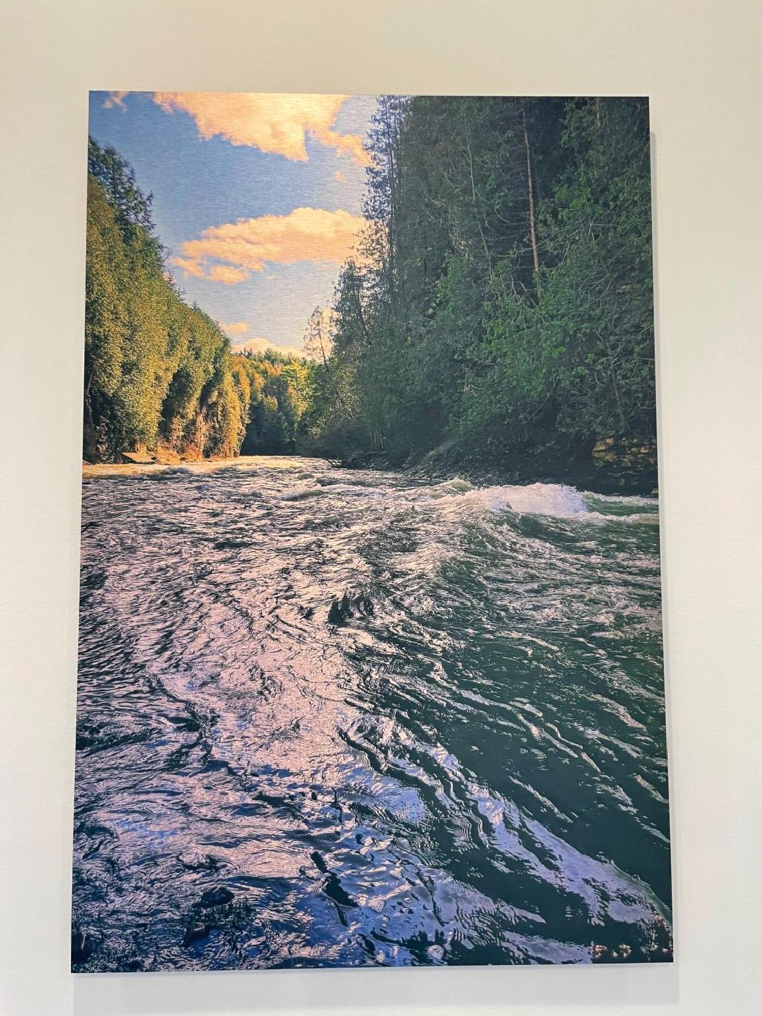 Elora'S Irvine River Suite Exteriör bild